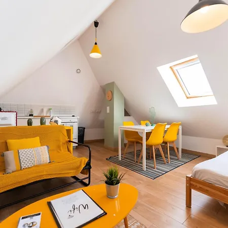 Апартаменты Historic Center - Belle Alsace - Duplex 6 - Bookingalsace