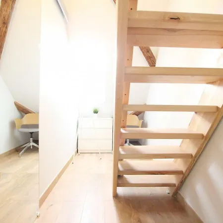 Historic Center - Belle Alsace - Duplex 6 - Bookingalsace Апартаменты Кольмар