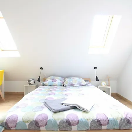Historic Center - Belle Alsace - Duplex 6 - Bookingalsace Кольмар