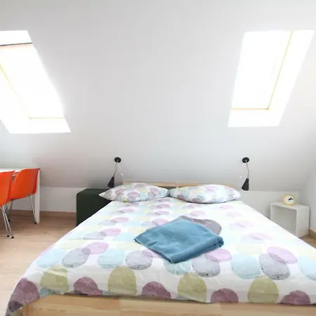 Historic Center - Belle Alsace - Duplex 6 - Bookingalsace Апартаменты Кольмар